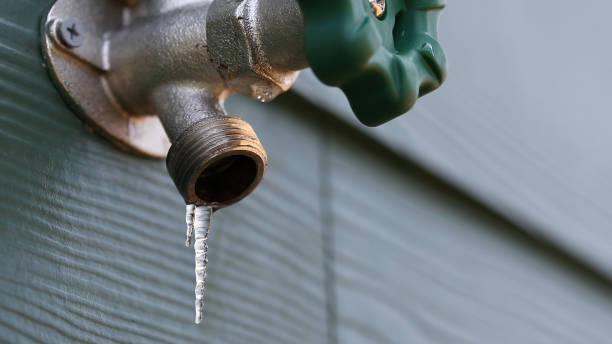 Best Drain Cleaning Services  in Mccordsville, IN